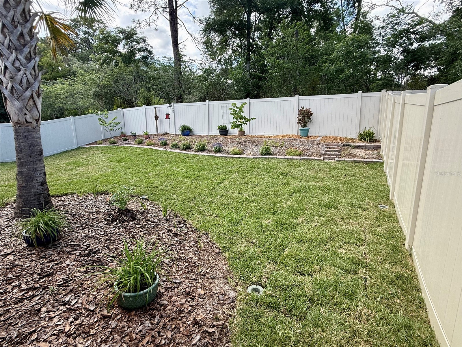 2024 Canopy Terrace Boulevard Deland FL 32724 V4945395 image29