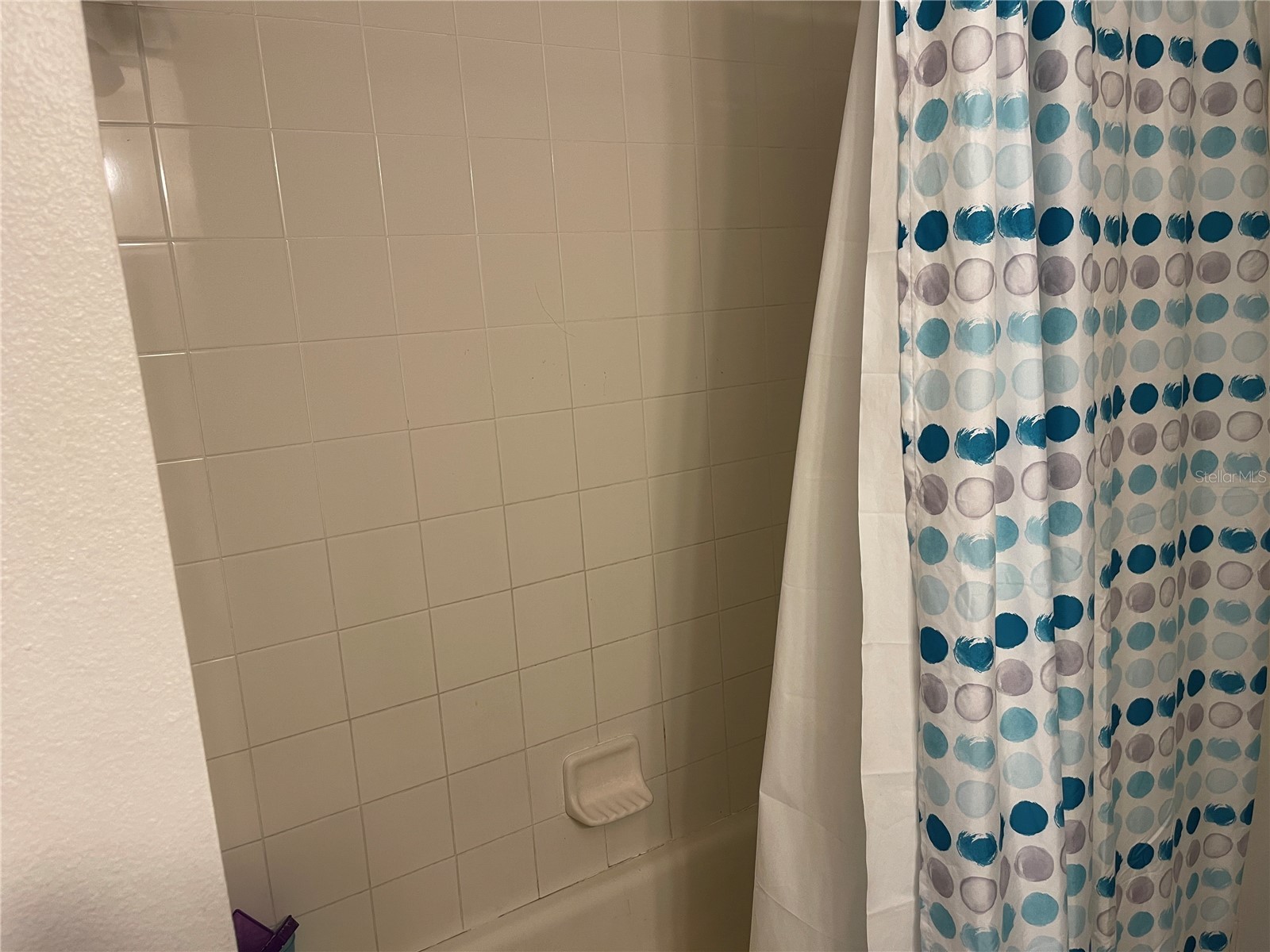 2024 Cypress Bay Boulevard Kissimmee FL 34743 S5145498 image44