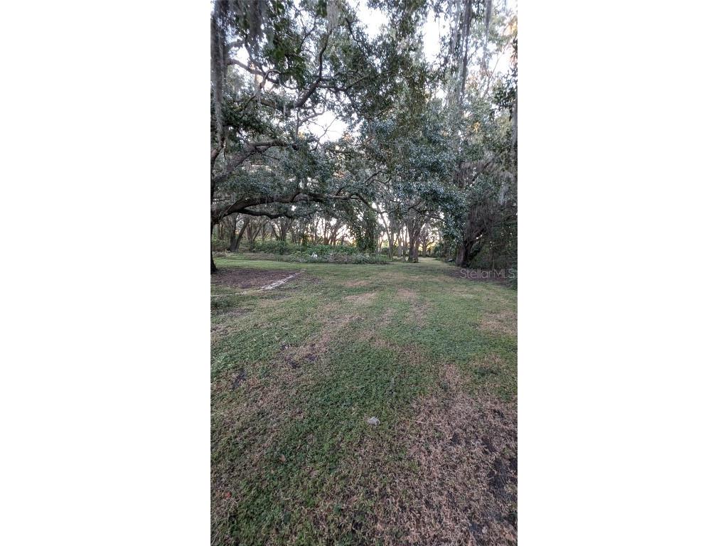 2024 E Keysville Road Lithia FL 33547 TB8439464 image35