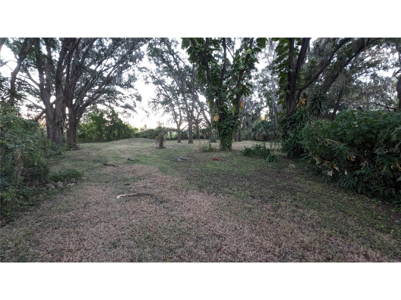 2024 E Keysville Road Lithia FL 33547 TB8439464 image36