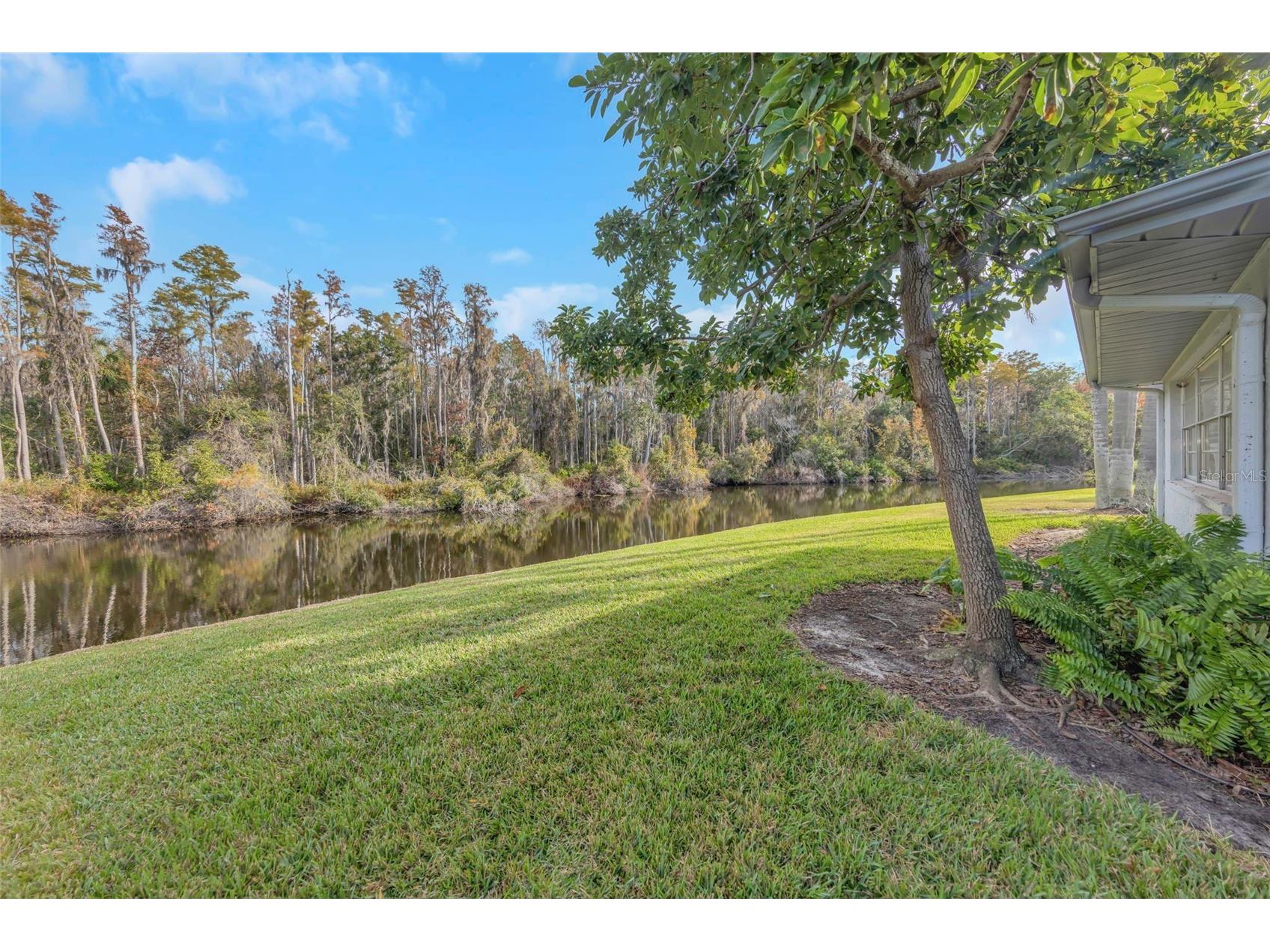 2024 Heathfield Circle #155 Sun City Center FL 33573 TB8456945 image21