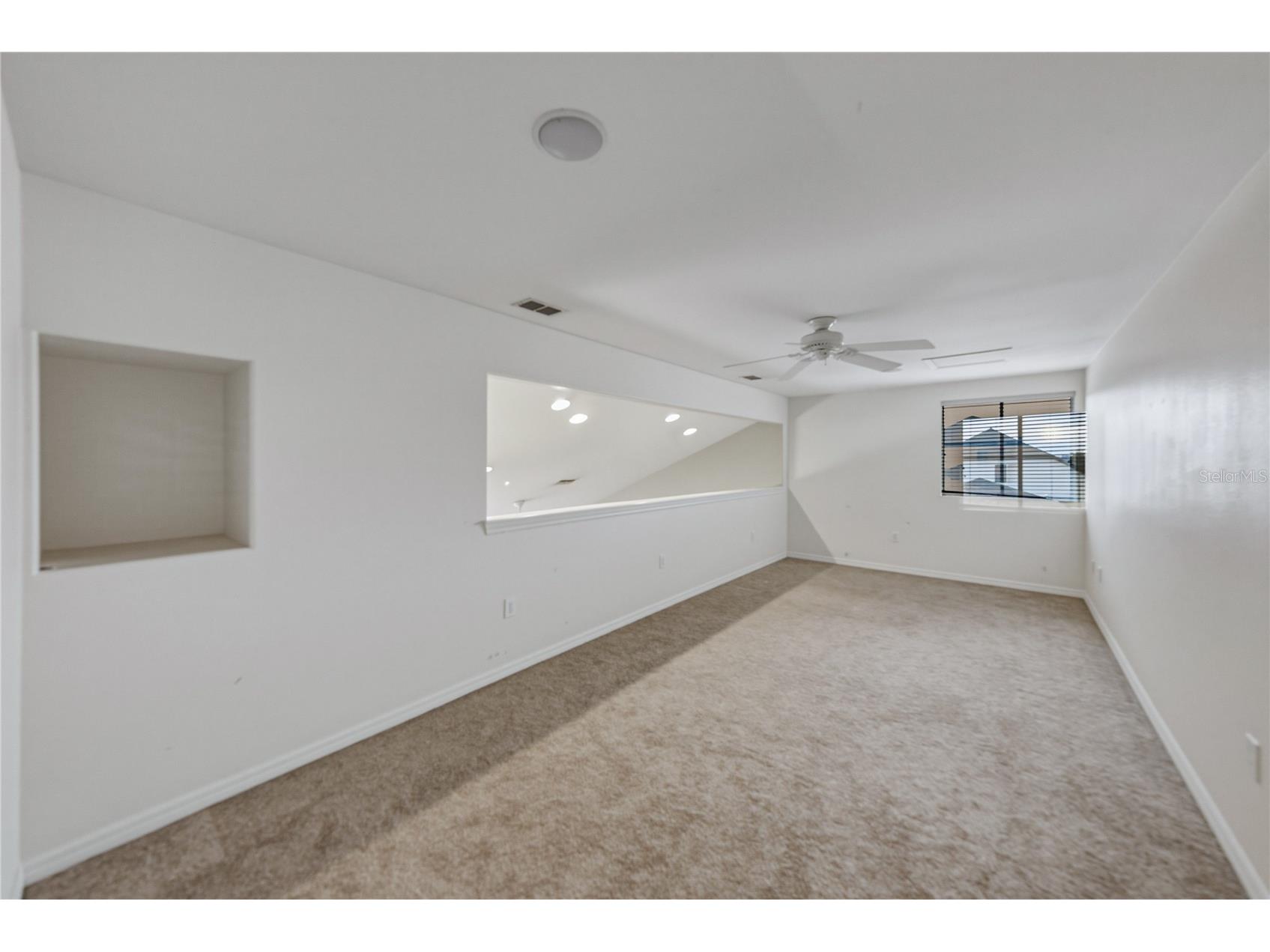 2024 Larkspur Court Trinity FL 34655 TB8519755 image29
