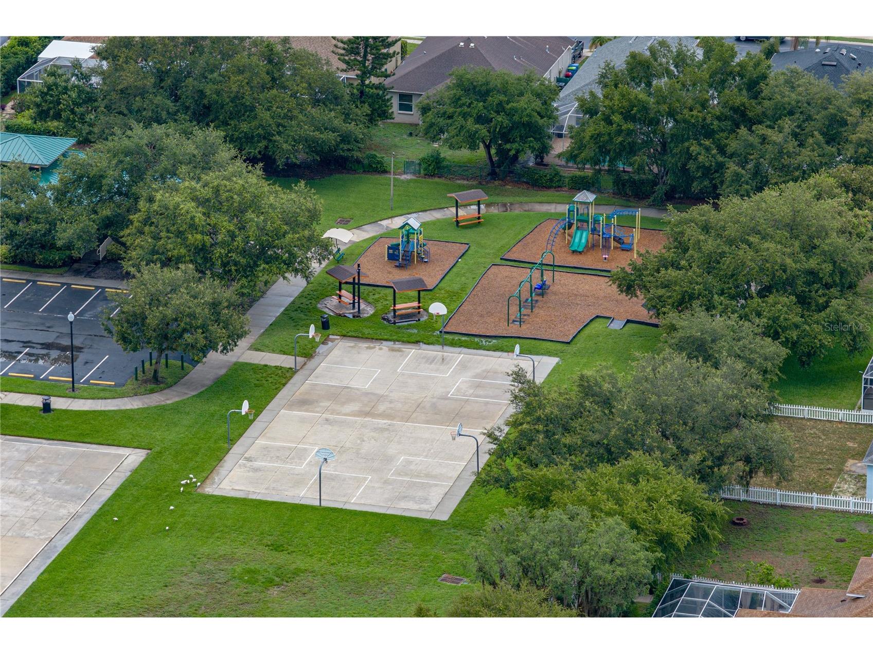 2024 Larkspur Court Trinity FL 34655 TB8519755 image48