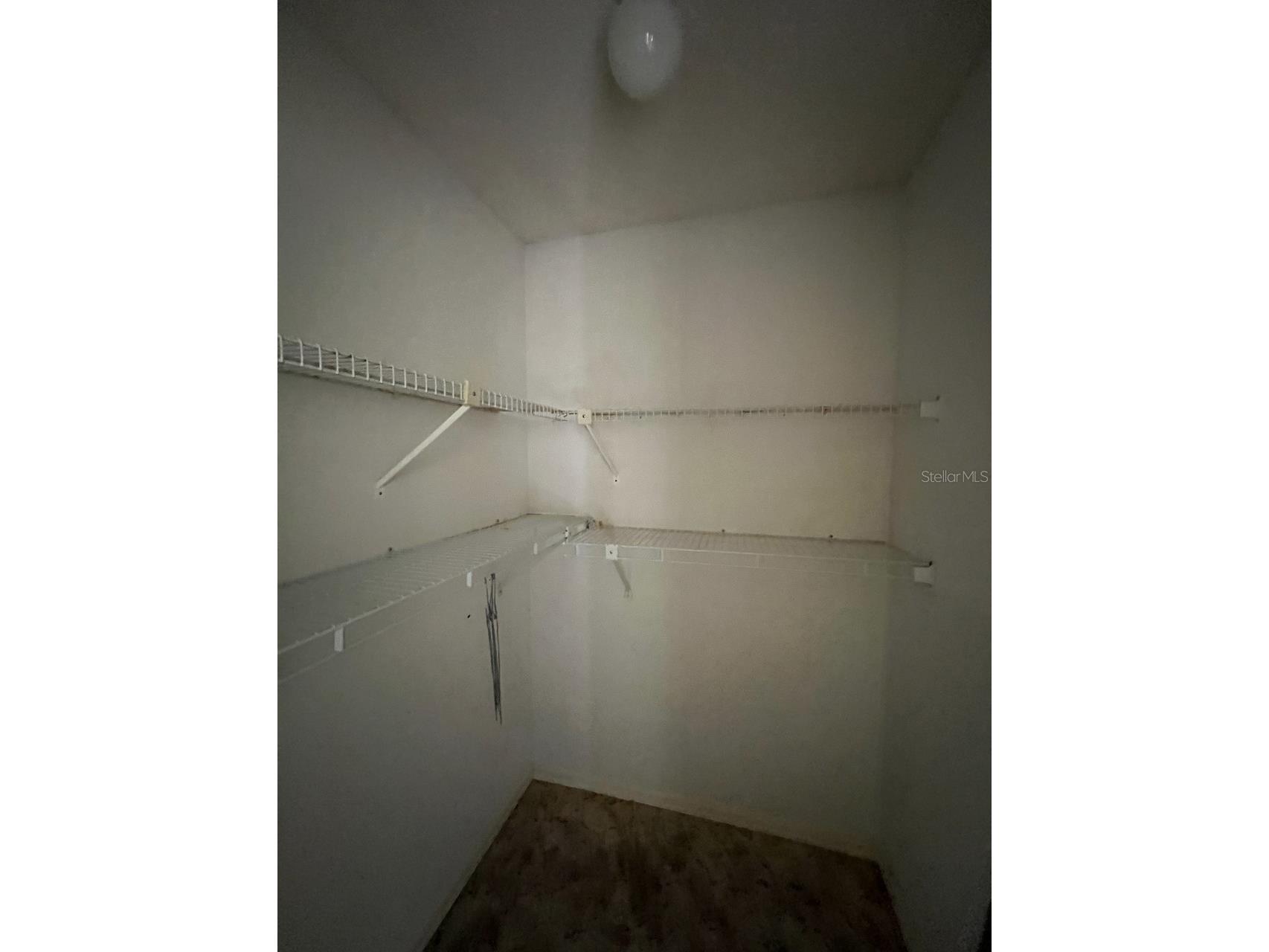 2024 Lime Tree Drive Edgewater FL 32141 O6368631 image20