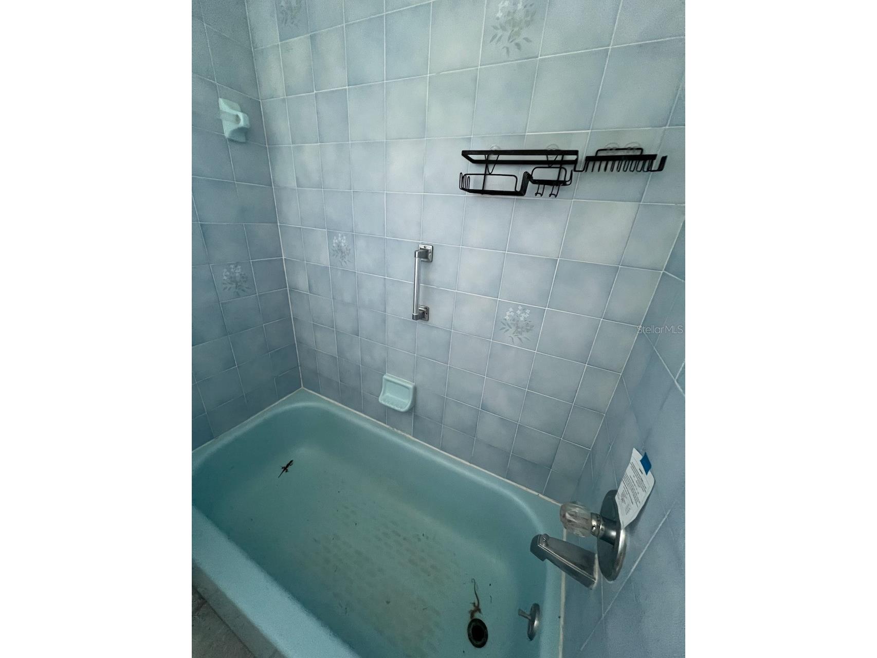 2024 Lime Tree Drive Edgewater FL 32141 O6368631 image25