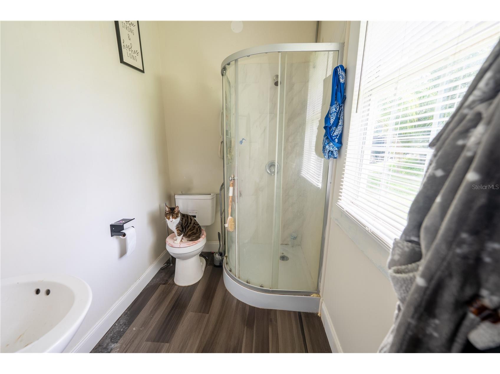 2024 Old Lake Mary Road Sanford FL 32771 O6373416 image15