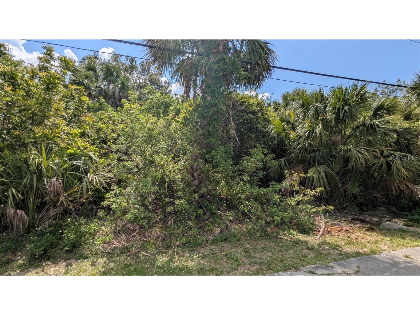 2024 Pellam Boulevard Port Charlotte FL 33948 - PELLAM WATERWAY C7510250 image12