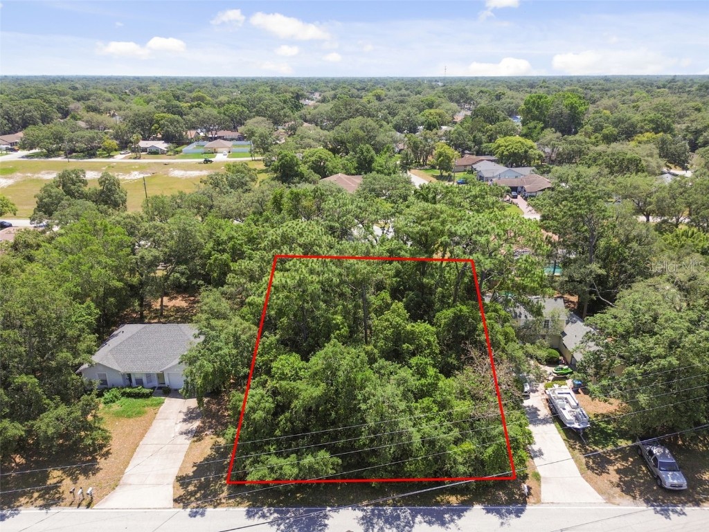 2024 Waterfall Drive Spring Hill FL 34608 T3527591 image1