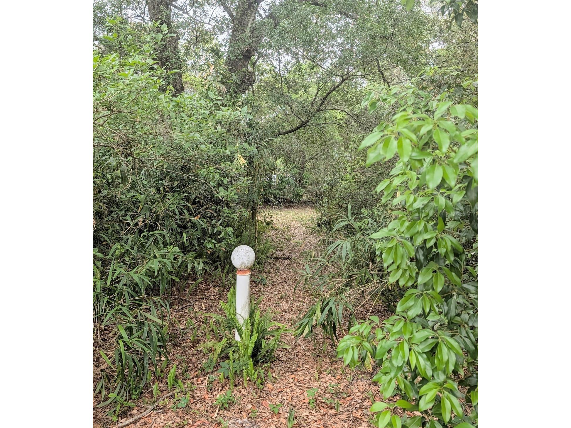2025 Larchmont Drive Deland FL 32724 V4948558 image28