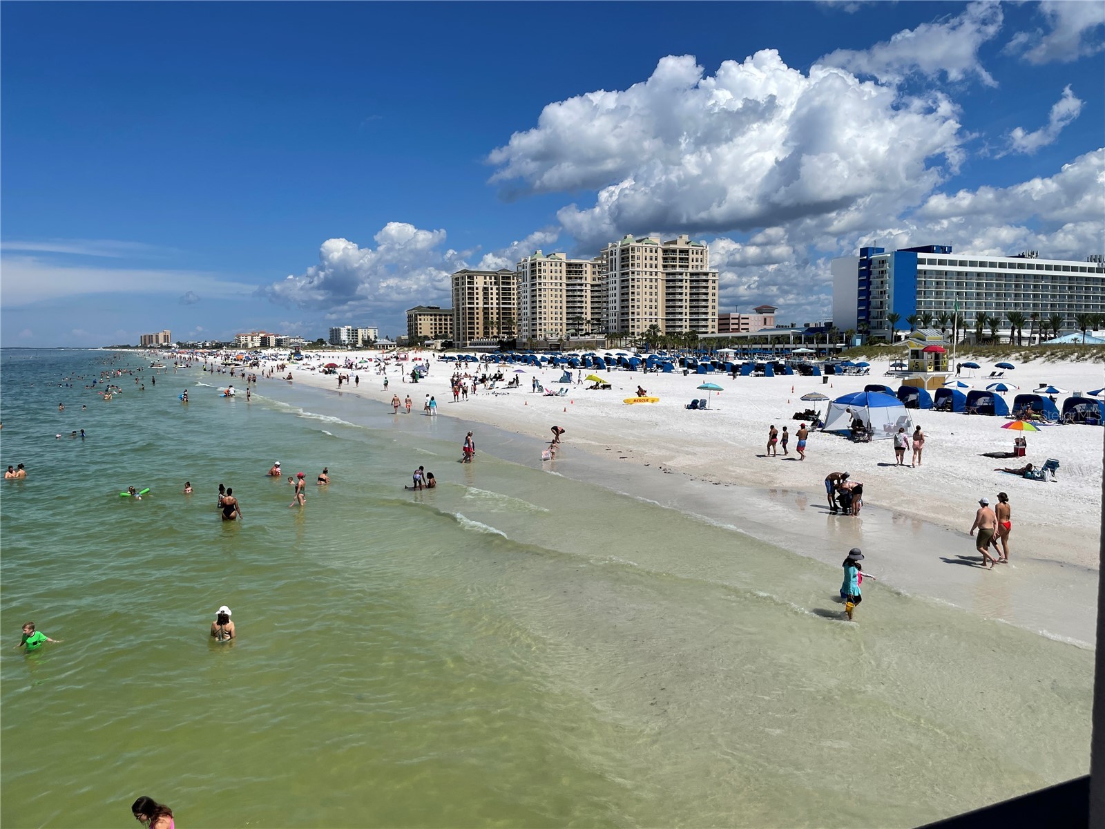 2025 Pine Ridge Drive Clearwater FL 33763 TB8494699 image16