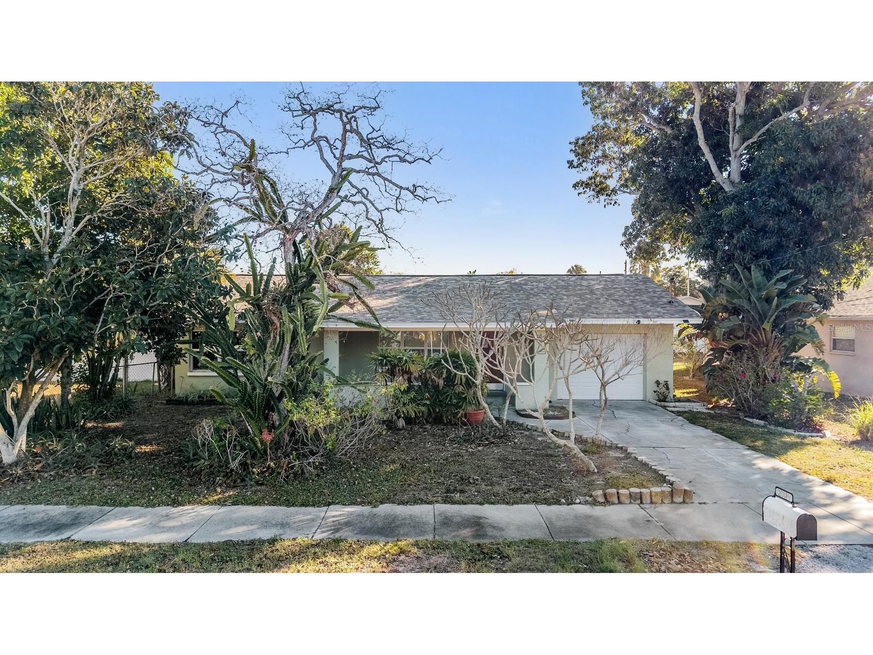 2025 Plaza Dolores Clearwater FL 33755 TB8460060 image2
