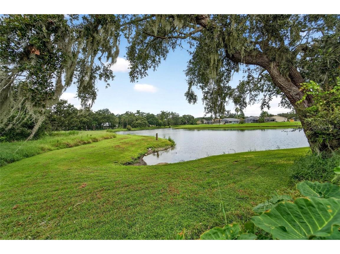 2025 Shadow Pine Drive Brandon FL 33511 TB8427152 image46