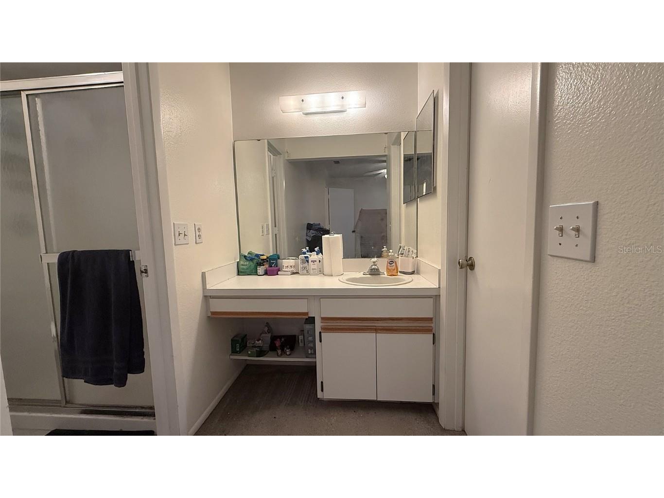 2025 Waterleaf Street Orlando FL 32837 O6336257 image23