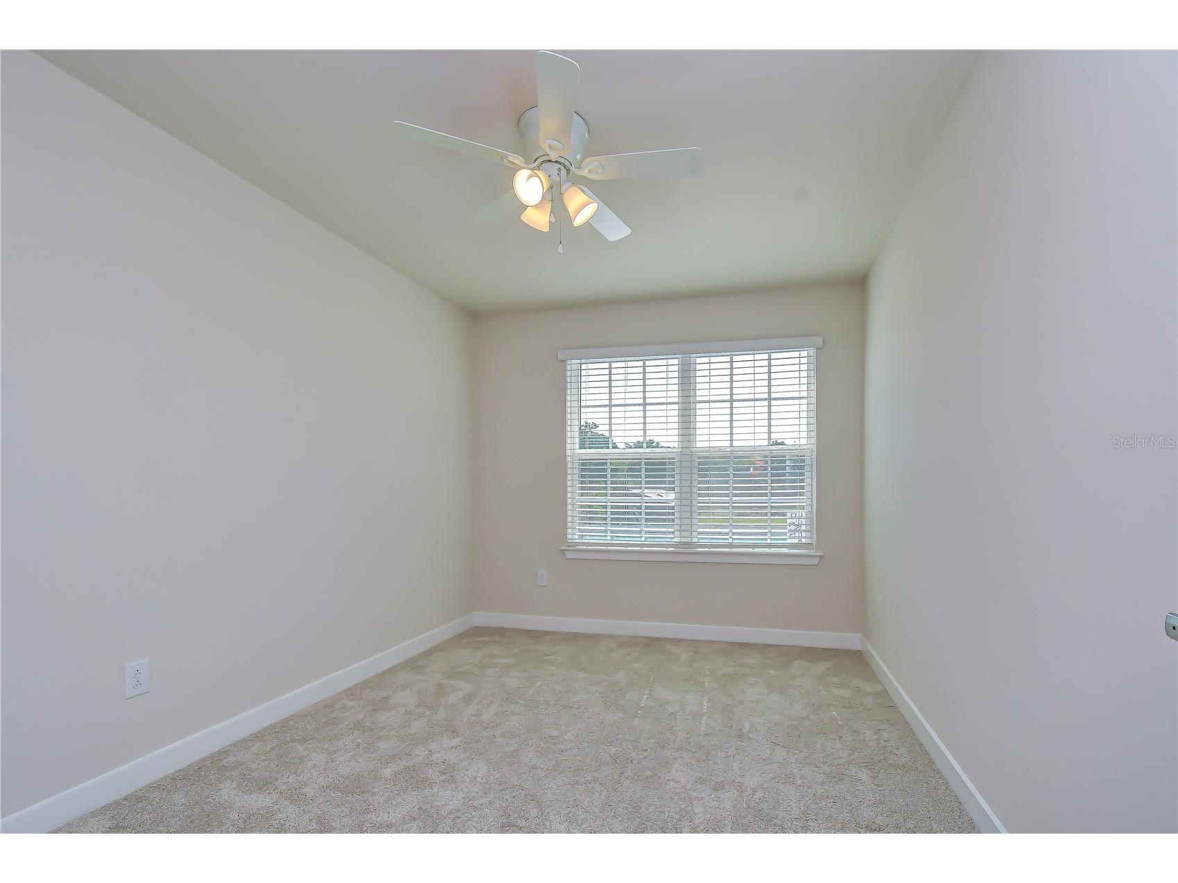 20253 Lou Angela Lane Lutz FL 33558 TB8524239 image22