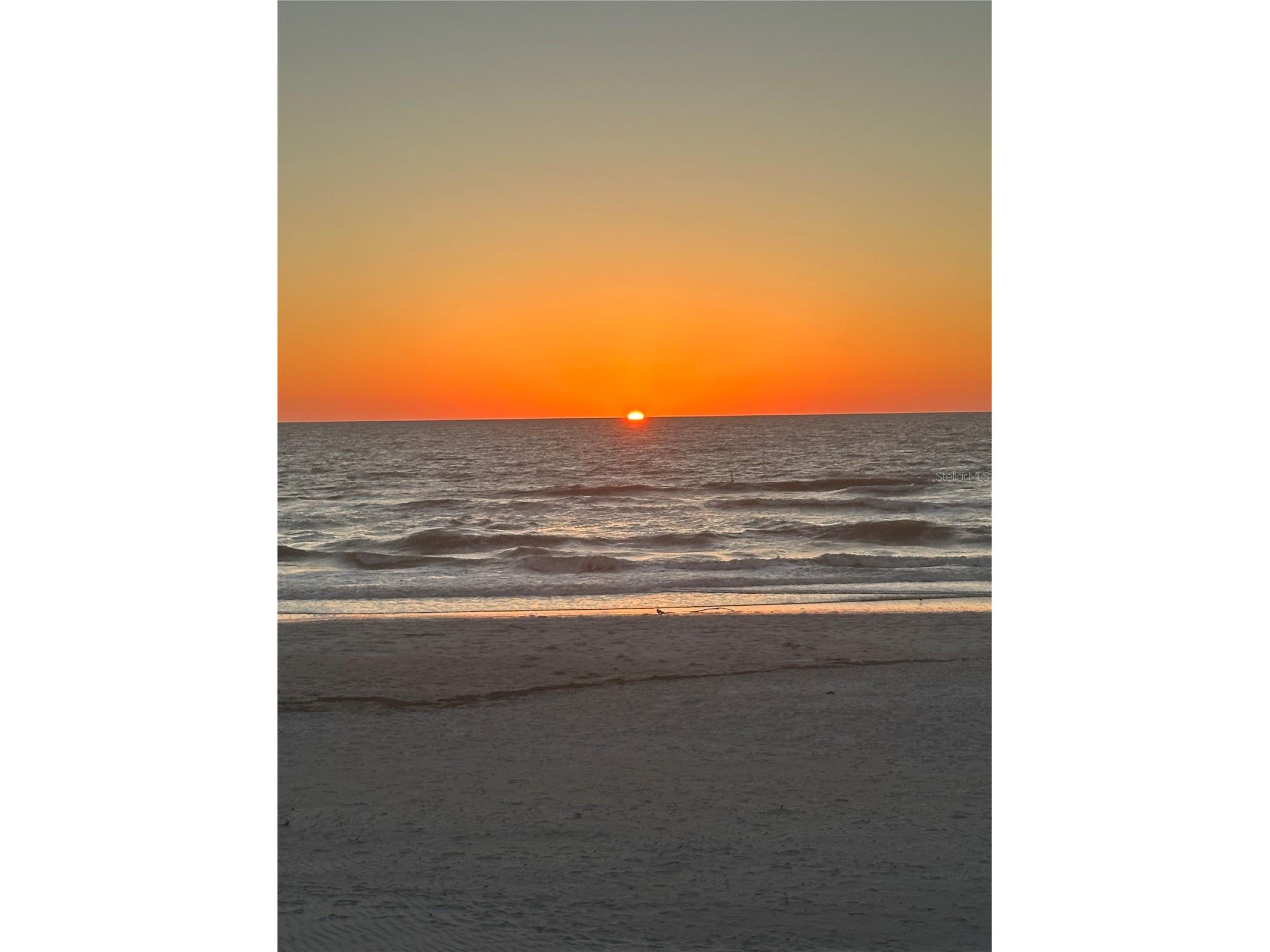 20256 Gulf Boulevard Indian Shores FL 33785 - GULF OF MEXICO TB8355278 image53