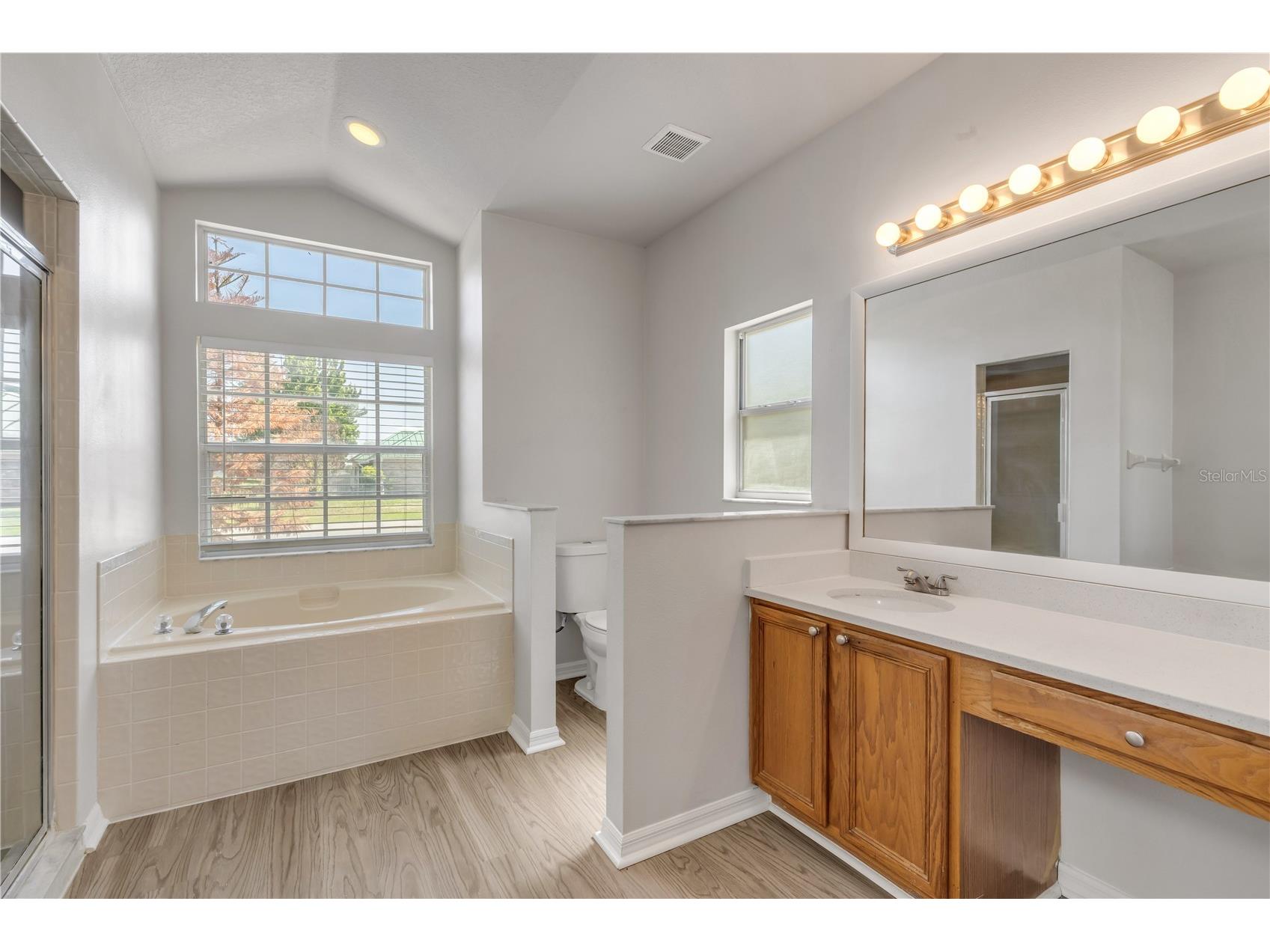 20259 Melville Street Orlando FL 32833 V4948913 image33