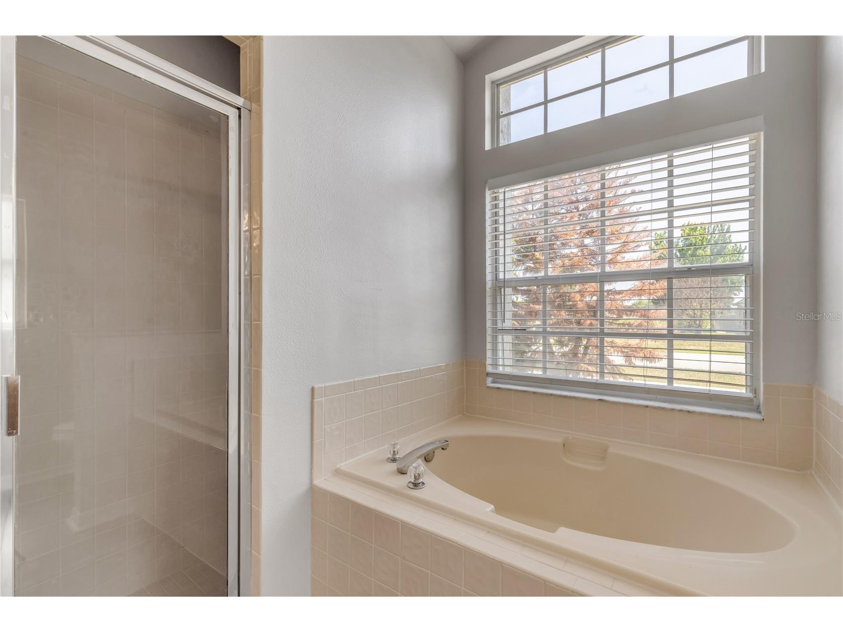 20259 Melville Street Orlando FL 32833 V4948913 image35