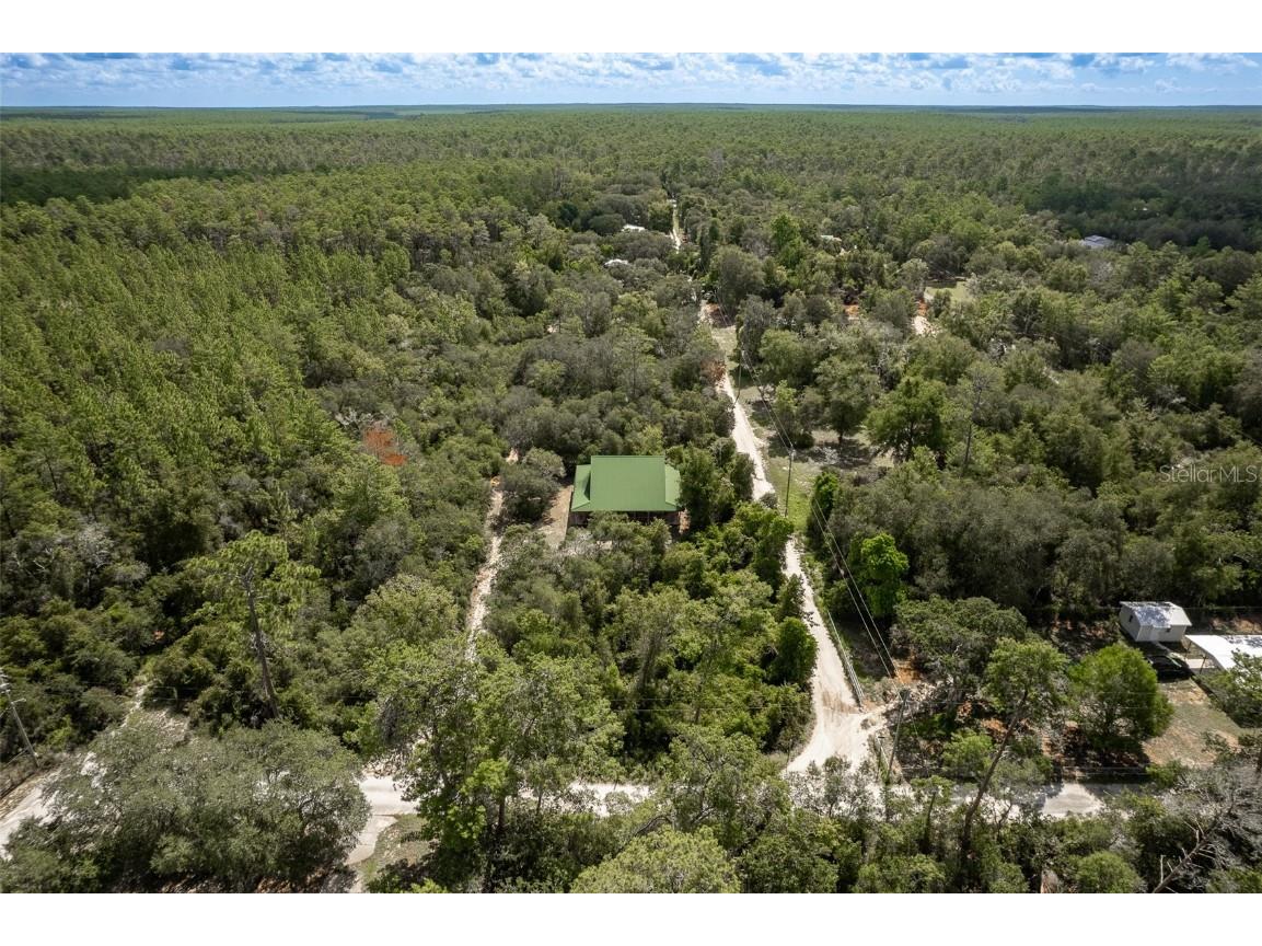 20259 NE 147th Terrace Fort Mc Coy FL 32134 OM707792 image41