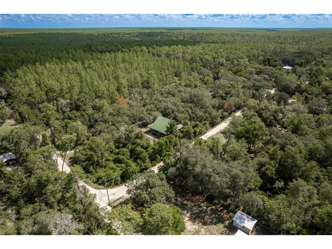 20259 NE 147th Terrace Fort Mc Coy FL 32134 OM707792 image42