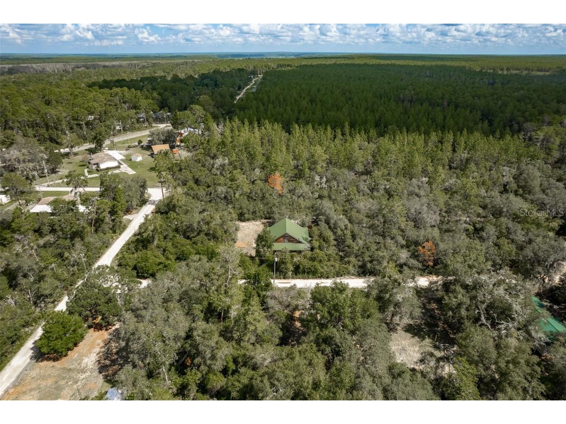 20259 NE 147th Terrace Fort Mc Coy FL 32134 OM707792 image43