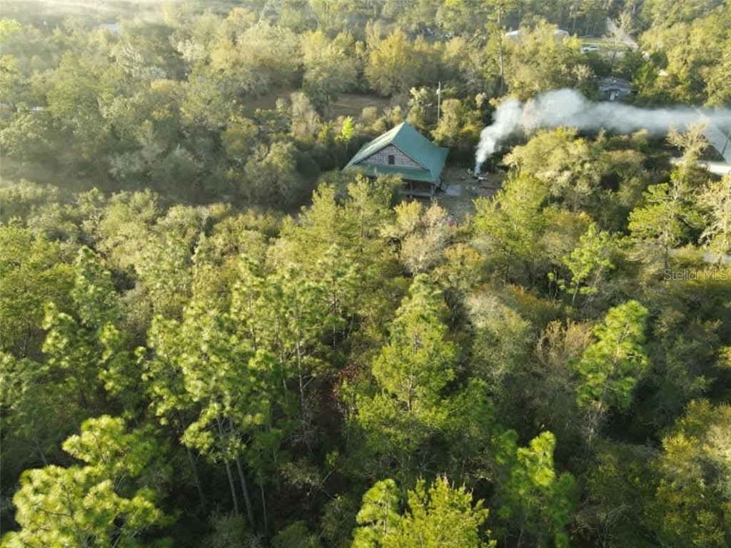 20259 NE 147th Terrace Fort Mc Coy FL 32134 OM707792 image48