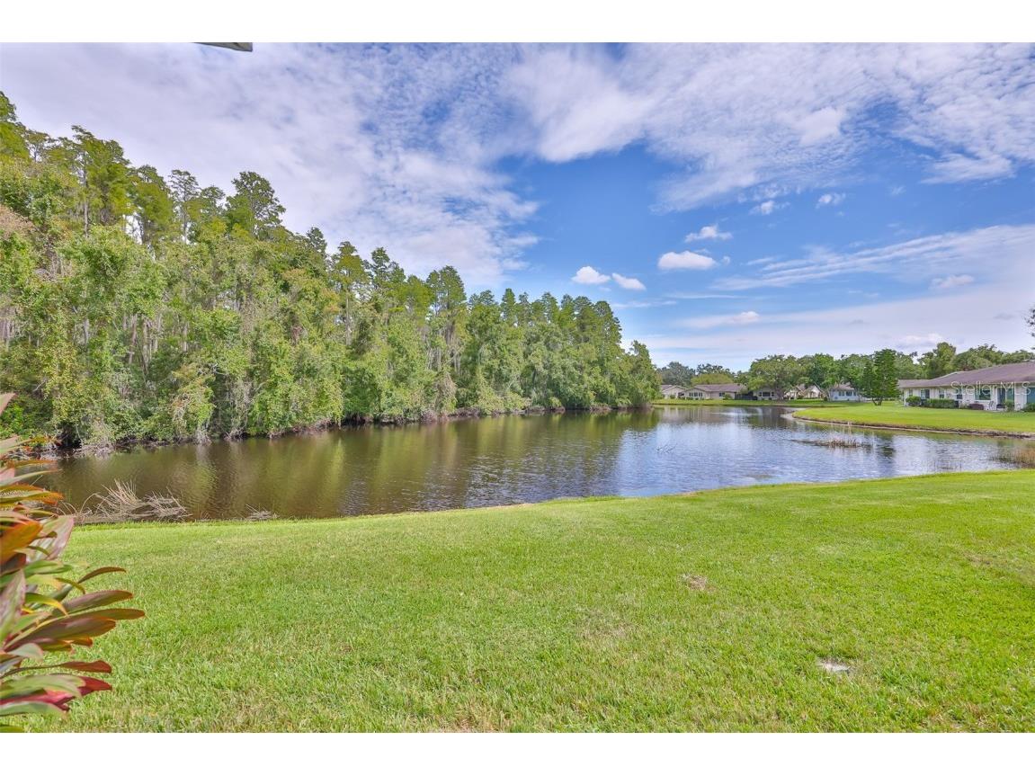 2026 Hawkhurst Circle Sun City Center FL 33573 TB8432667 image34