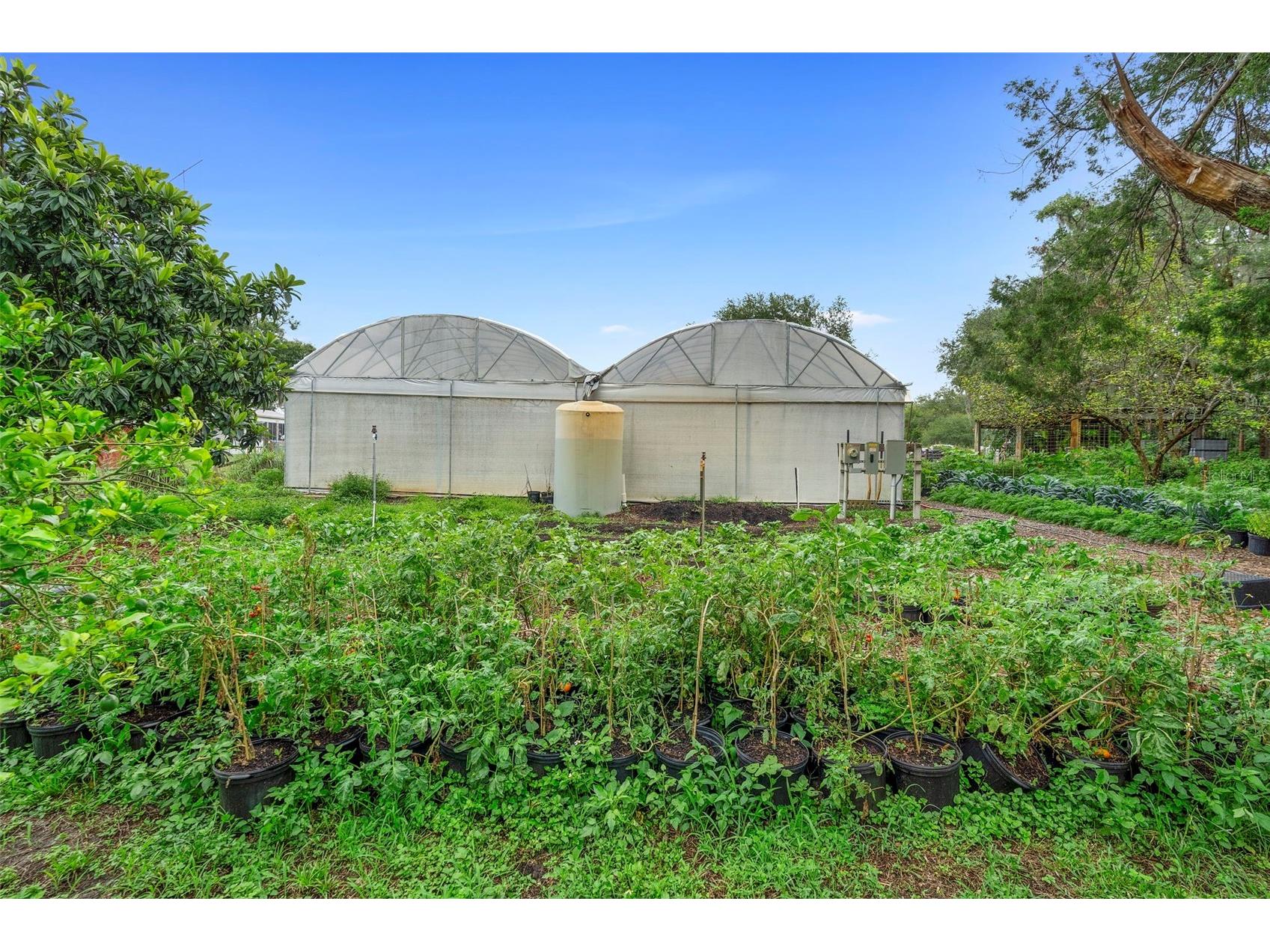 2026 Lewis Road Leesburg FL 34748 O6392685 image35