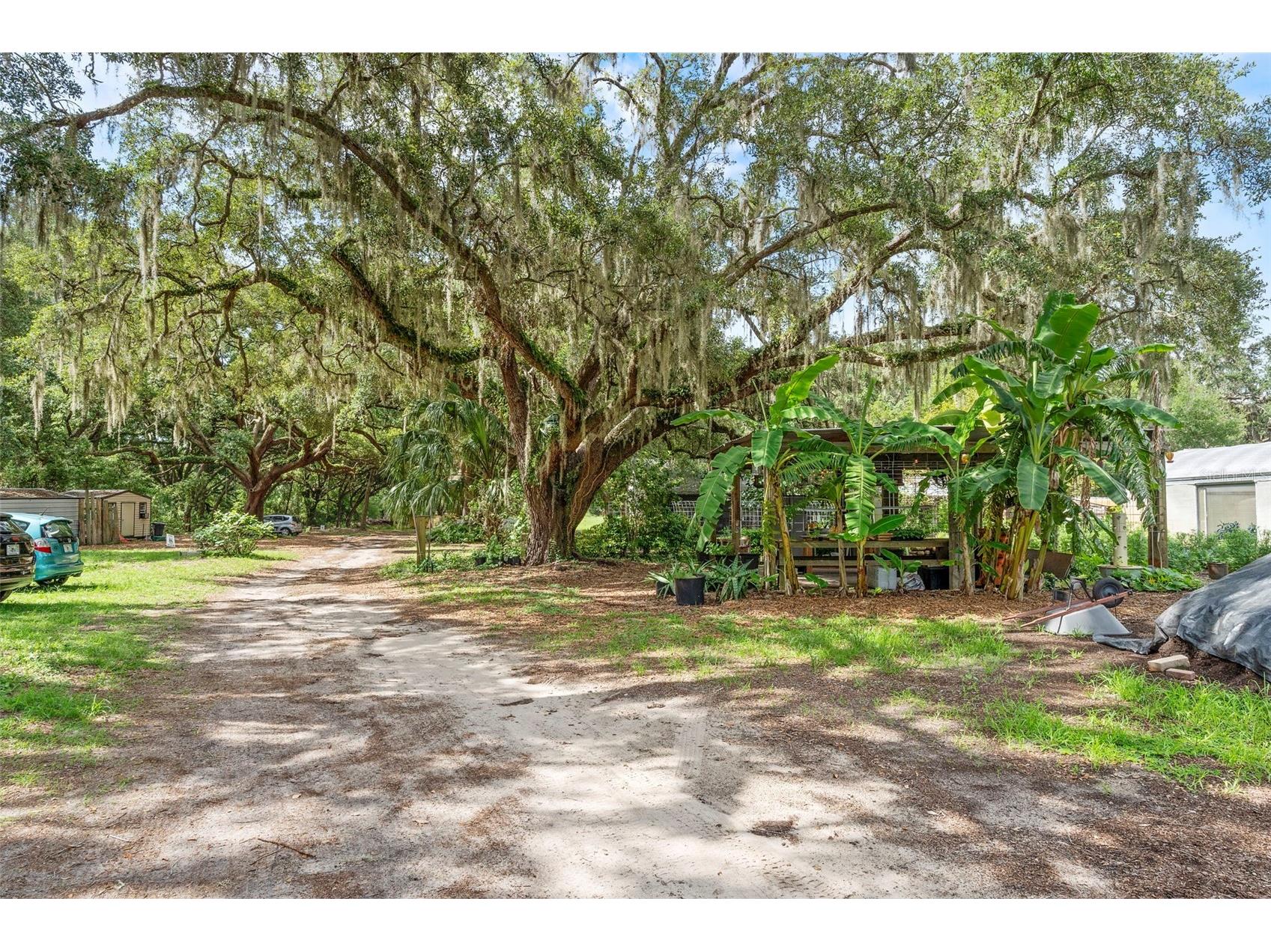 2026 Lewis Road Leesburg FL 34748 O6392685 image41