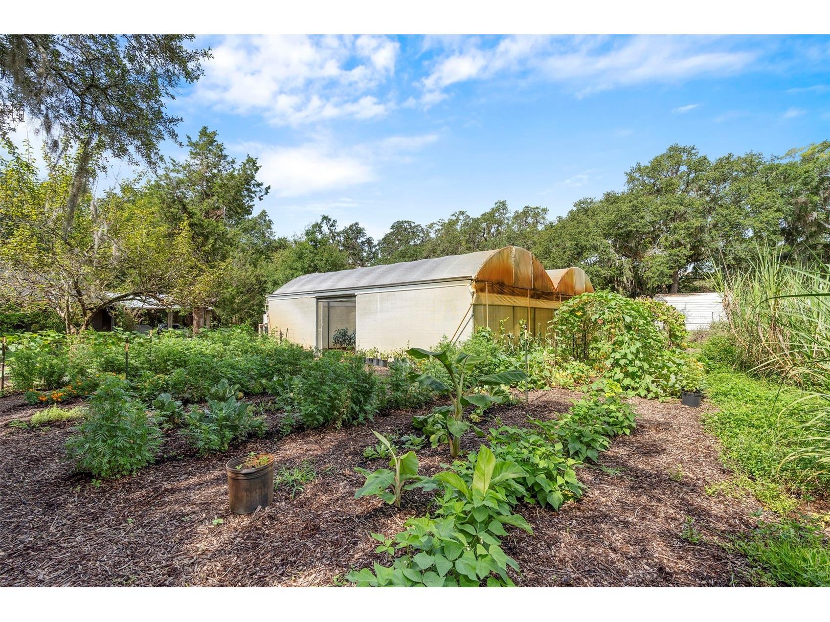 2026 Lewis Road Leesburg FL 34748 O6392685 image73