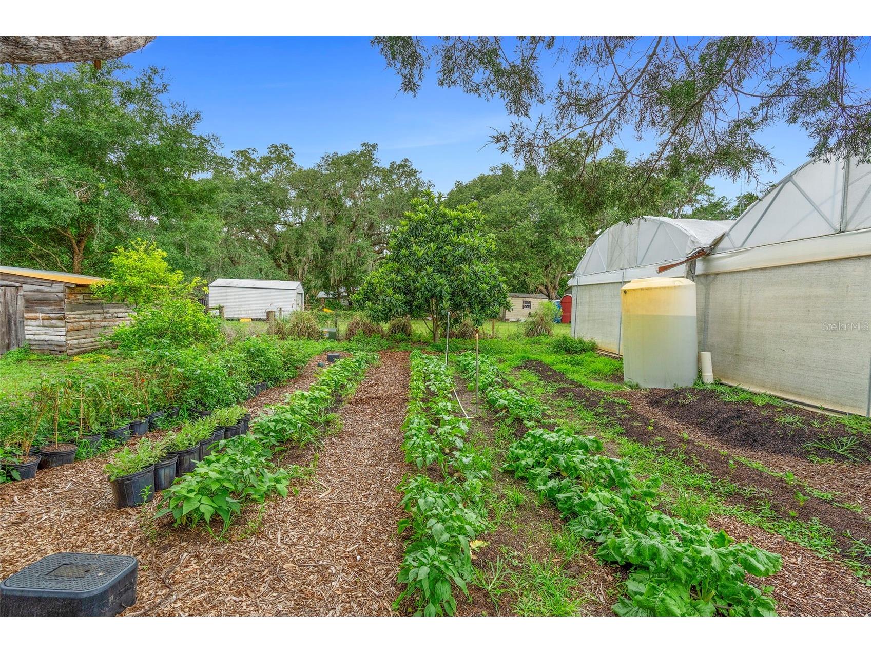 2026 Lewis Road Leesburg FL 34748 O6392685 image89
