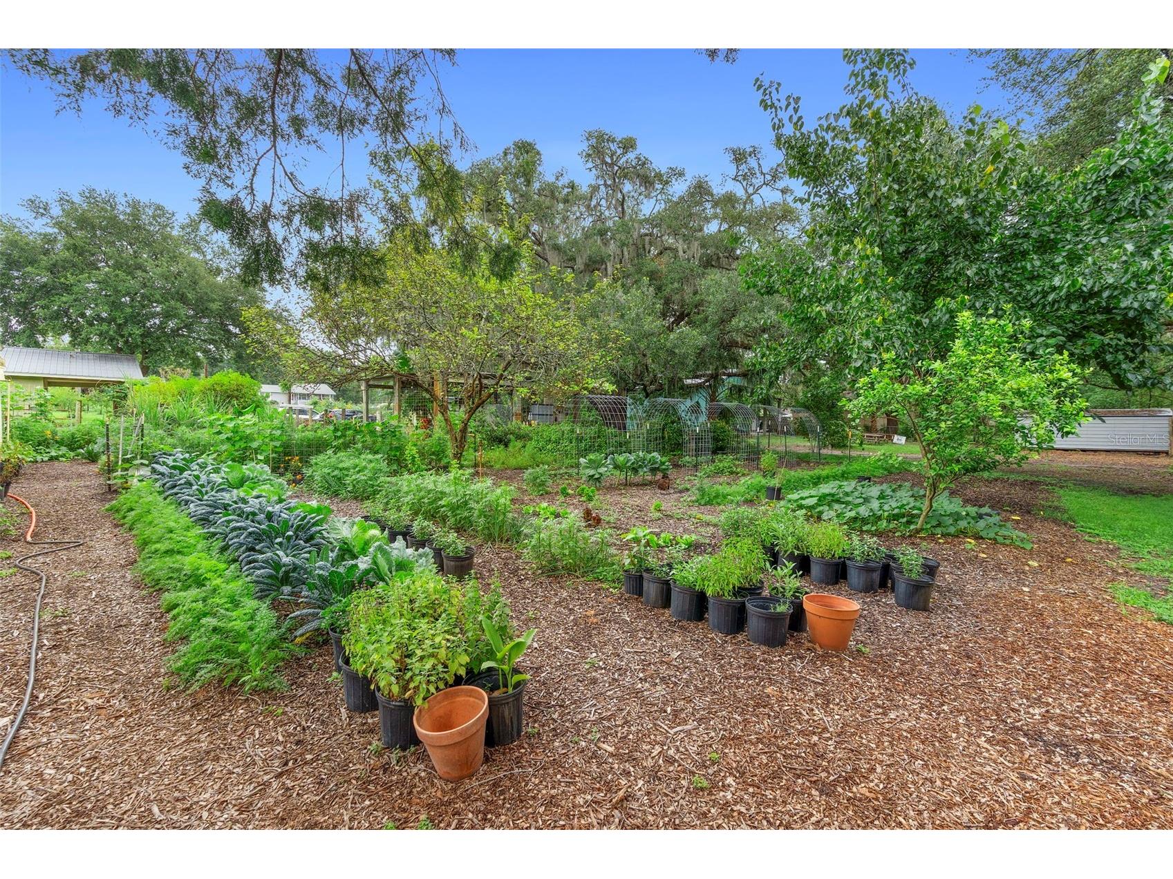 2026 Lewis Road Leesburg FL 34748 O6392685 image90