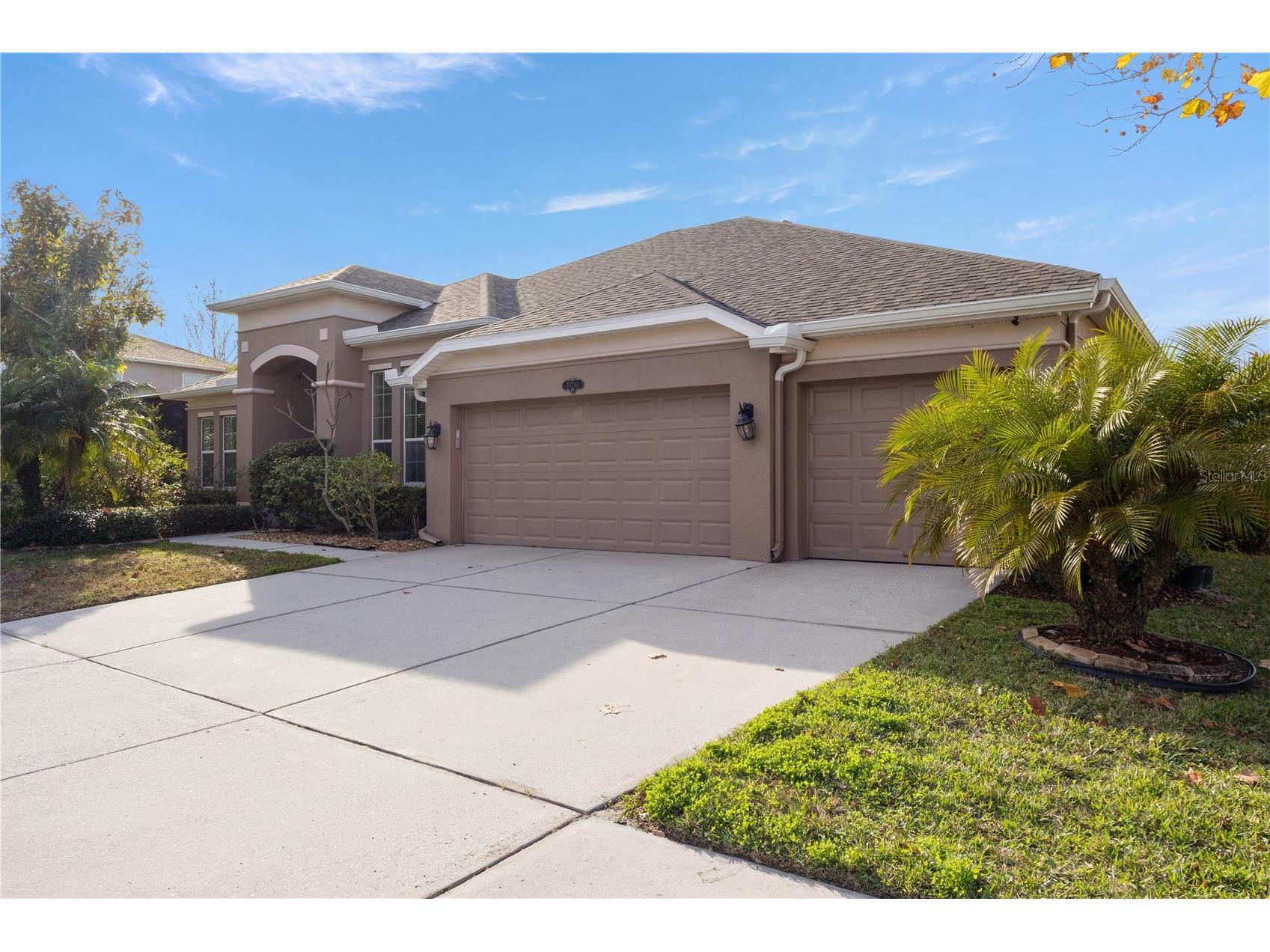 20261 Ravens End Drive Tampa FL 33647 TB8465267 image3