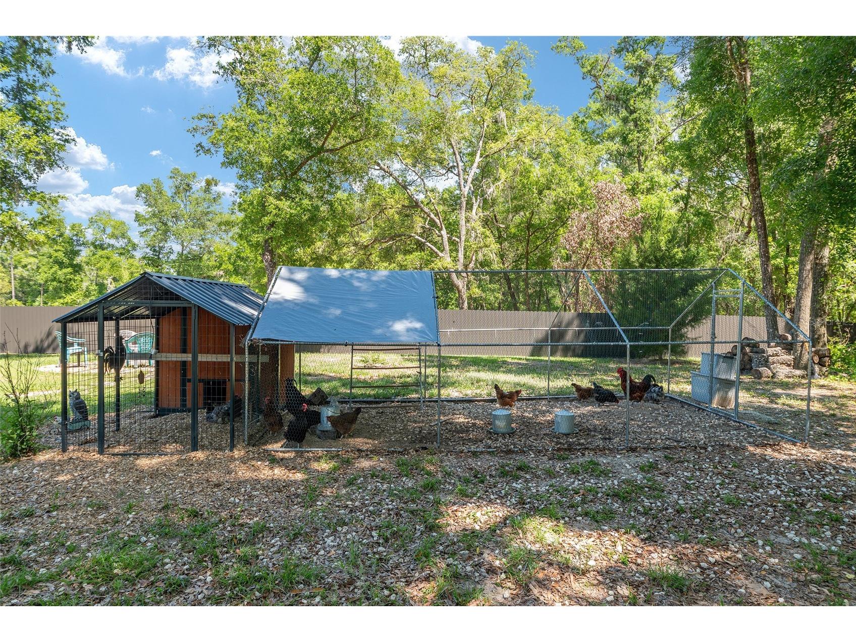 20264 SW 69th Place Dunnellon FL 34431 OM722980 image61