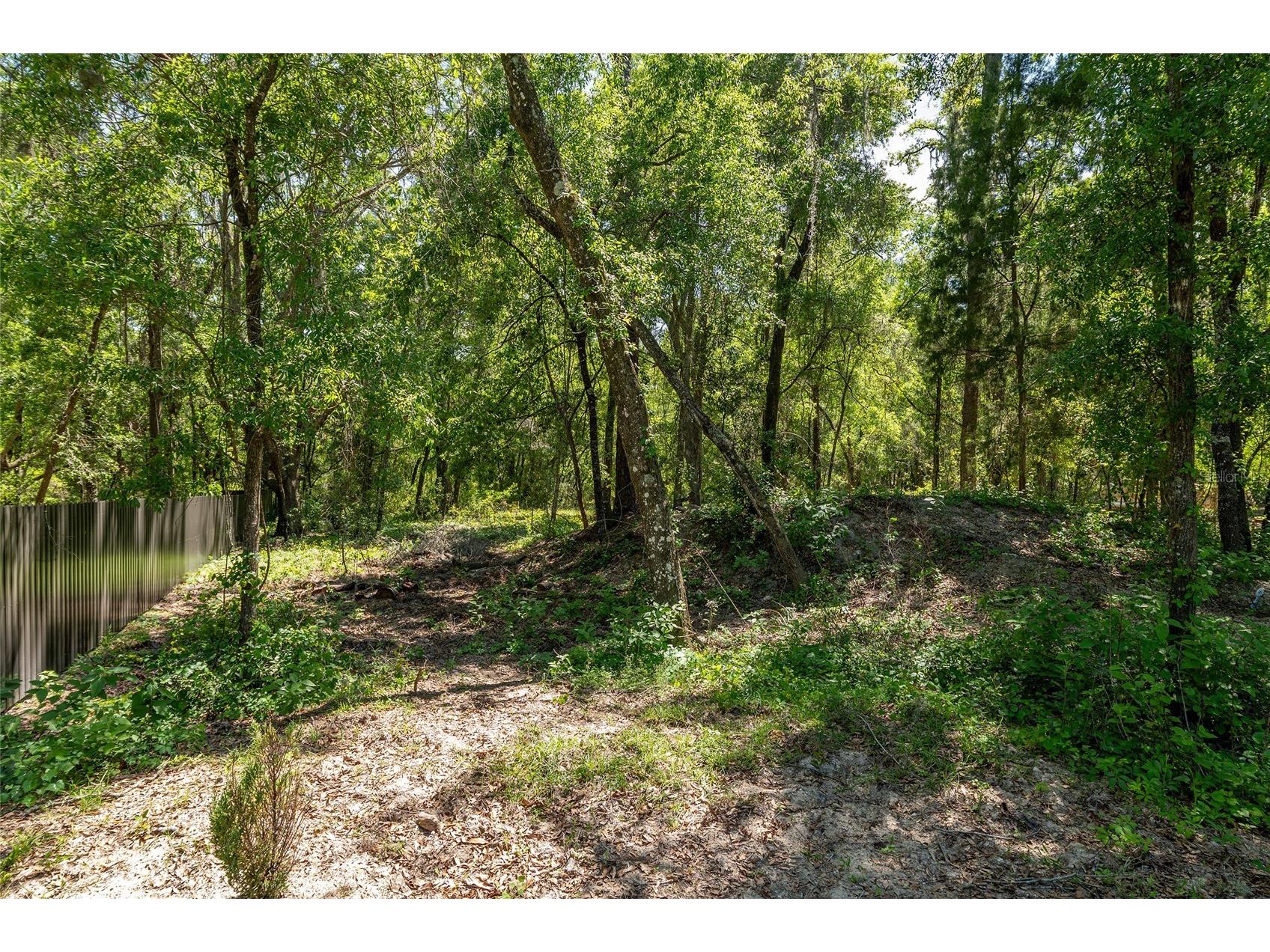 20264 SW 69th Place Dunnellon FL 34431 OM722980 image65
