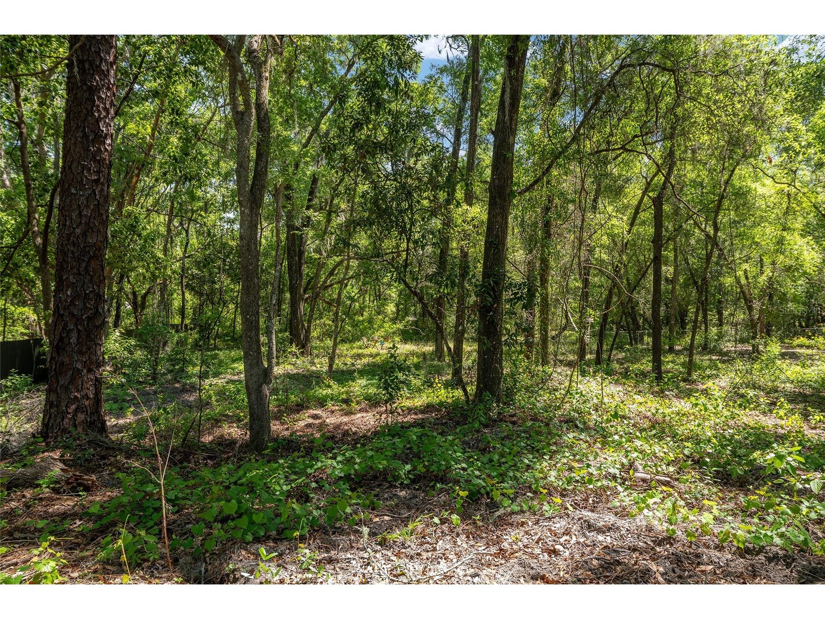 20264 SW 69th Place Dunnellon FL 34431 OM722980 image67