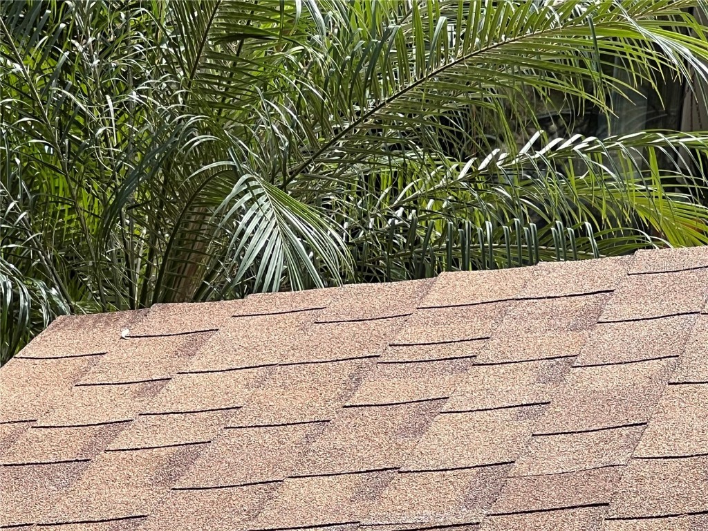 2027 Balboa Way Kissimmee FL 34741 S5139434 image48