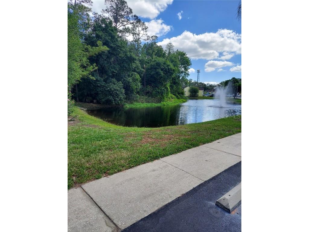 2027 Royal Bay Blvd #77 Kissimmee FL 34746 O6289565 image25