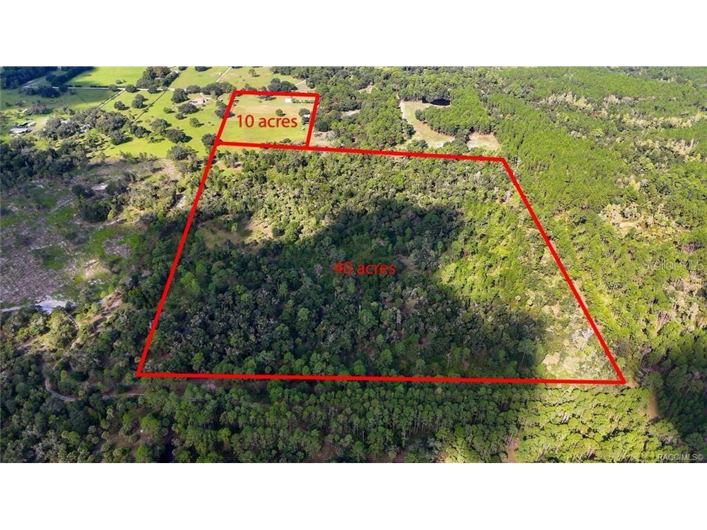 20271 SE 81st Terrace Inglis FL 34449 W7882228 image3