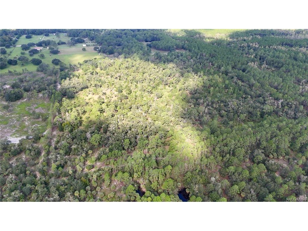 20271 SE 81st Terrace Inglis FL 34449 W7882228 image6