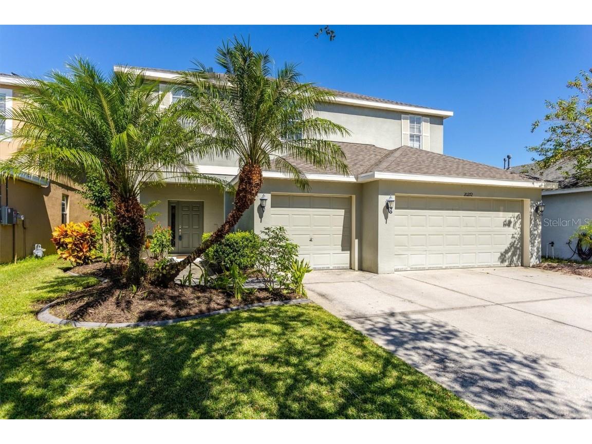 20272 Merry Oak Avenue Tampa FL 33647 U8177956 image1