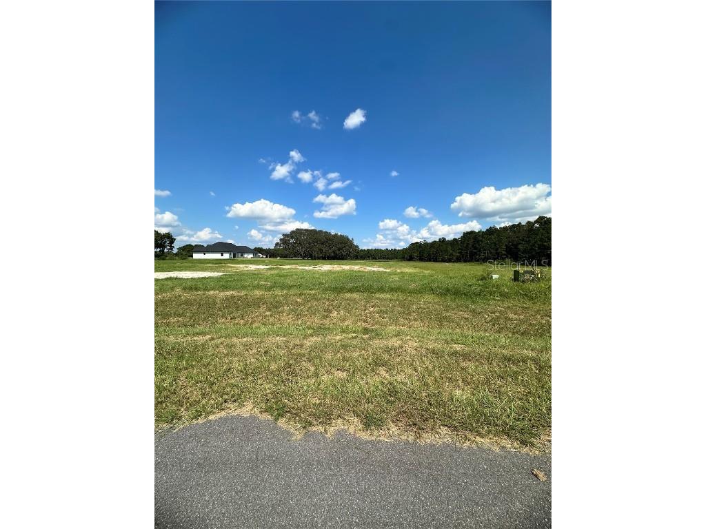 20276 Shoreline Ranch Lane Umatilla FL 32784 - LAKE DALHOUSIE G5104053 image3