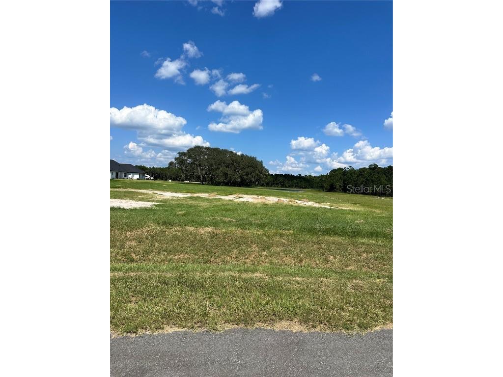 20276 Shoreline Ranch Lane Umatilla FL 32784 - LAKE DALHOUSIE G5104053 image4