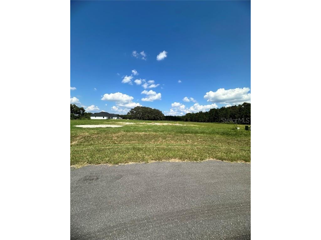 20276 Shoreline Ranch Lane Umatilla FL 32784 - LAKE DALHOUSIE G5104053 image6