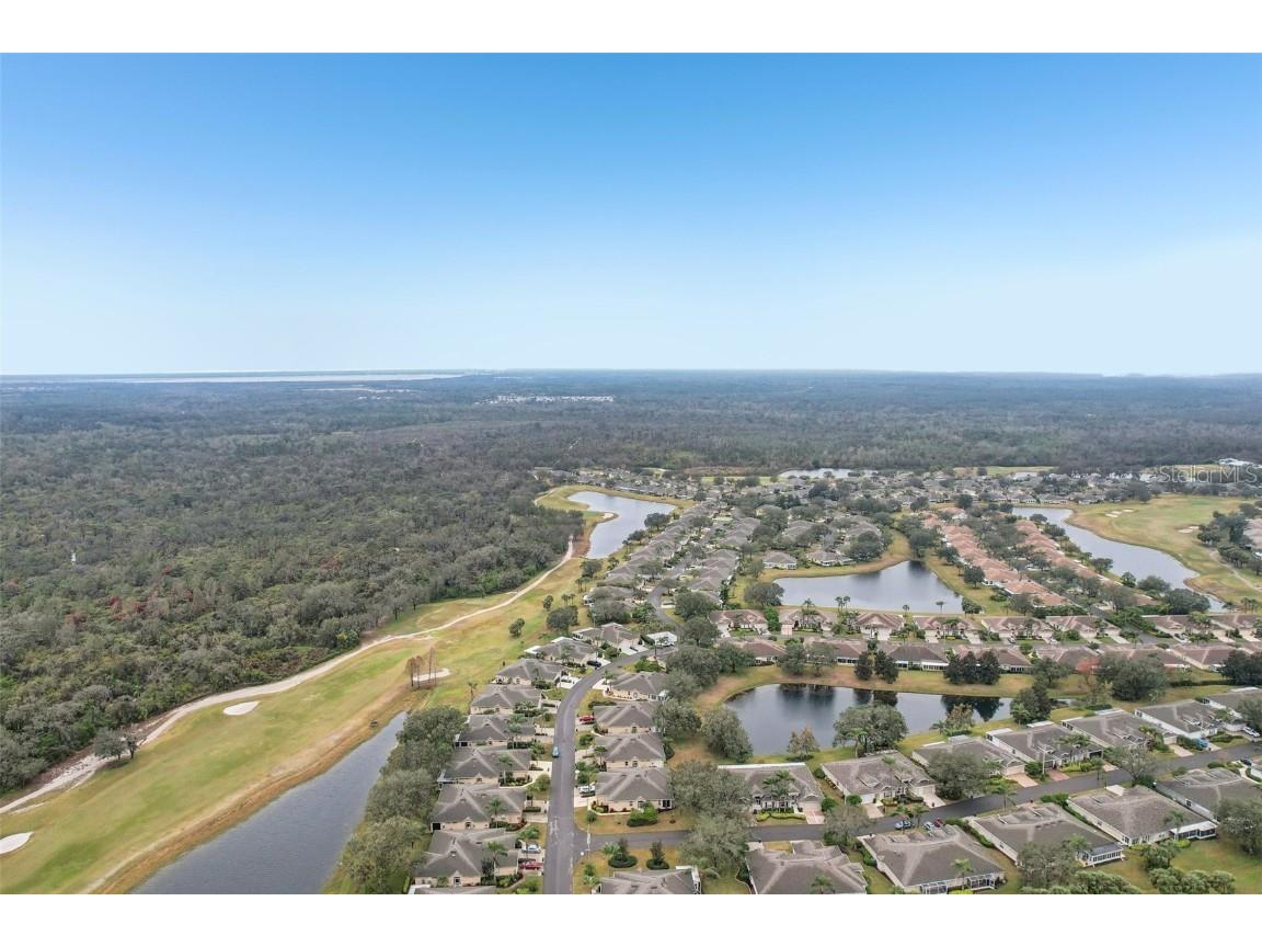 2028 Acadia Greens Drive Sun City Center FL 33573 TB8341873 image26