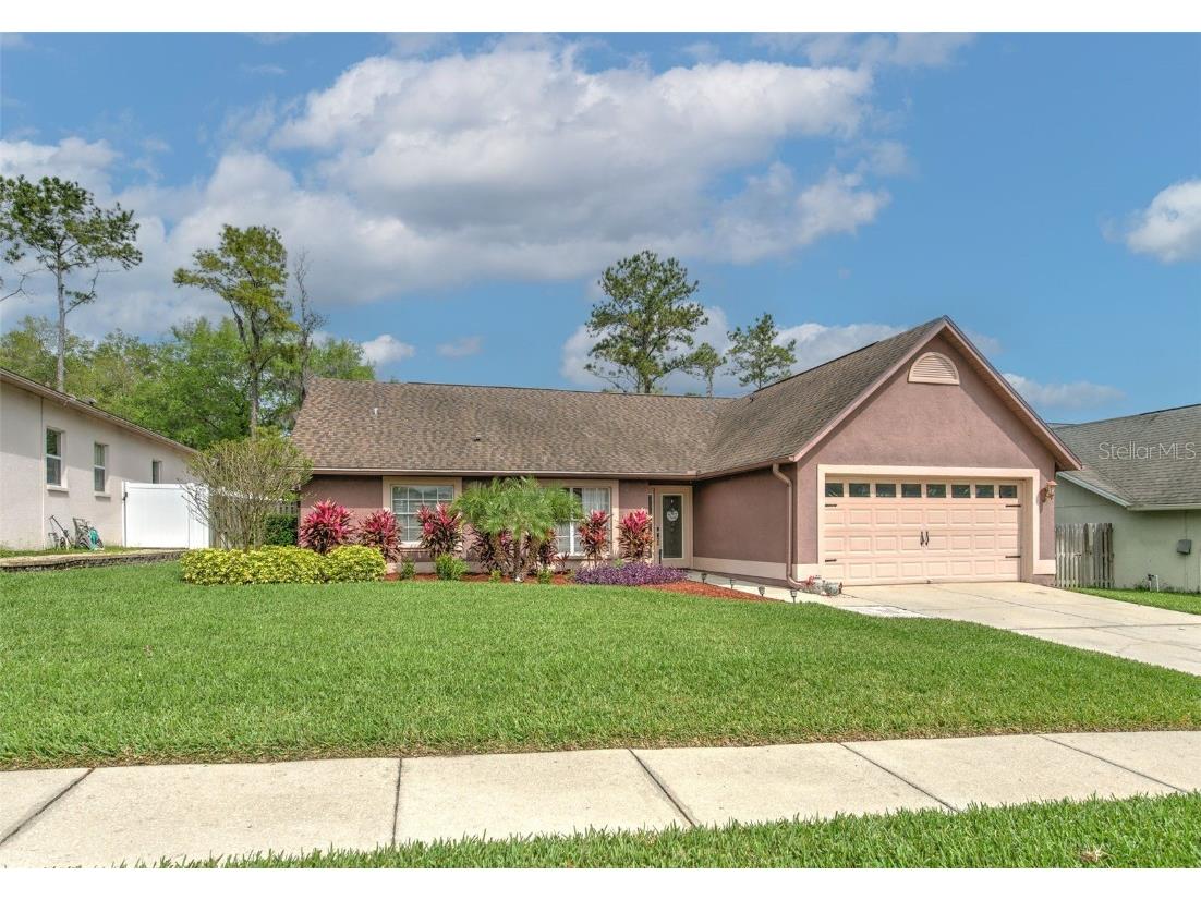 2028 Alafia Oaks Drive Valrico FL 33596 T3513016 image1