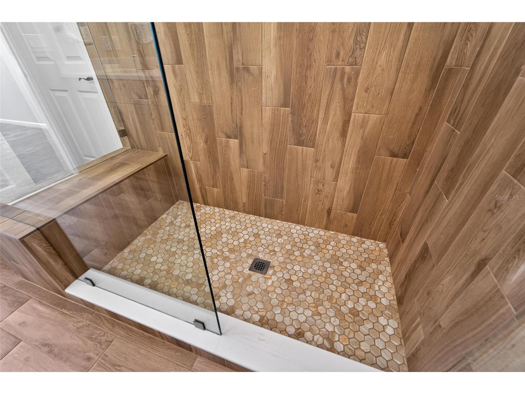 2028 Kings Palace Drive #2028 Riverview FL 33578 TB8512146 image49