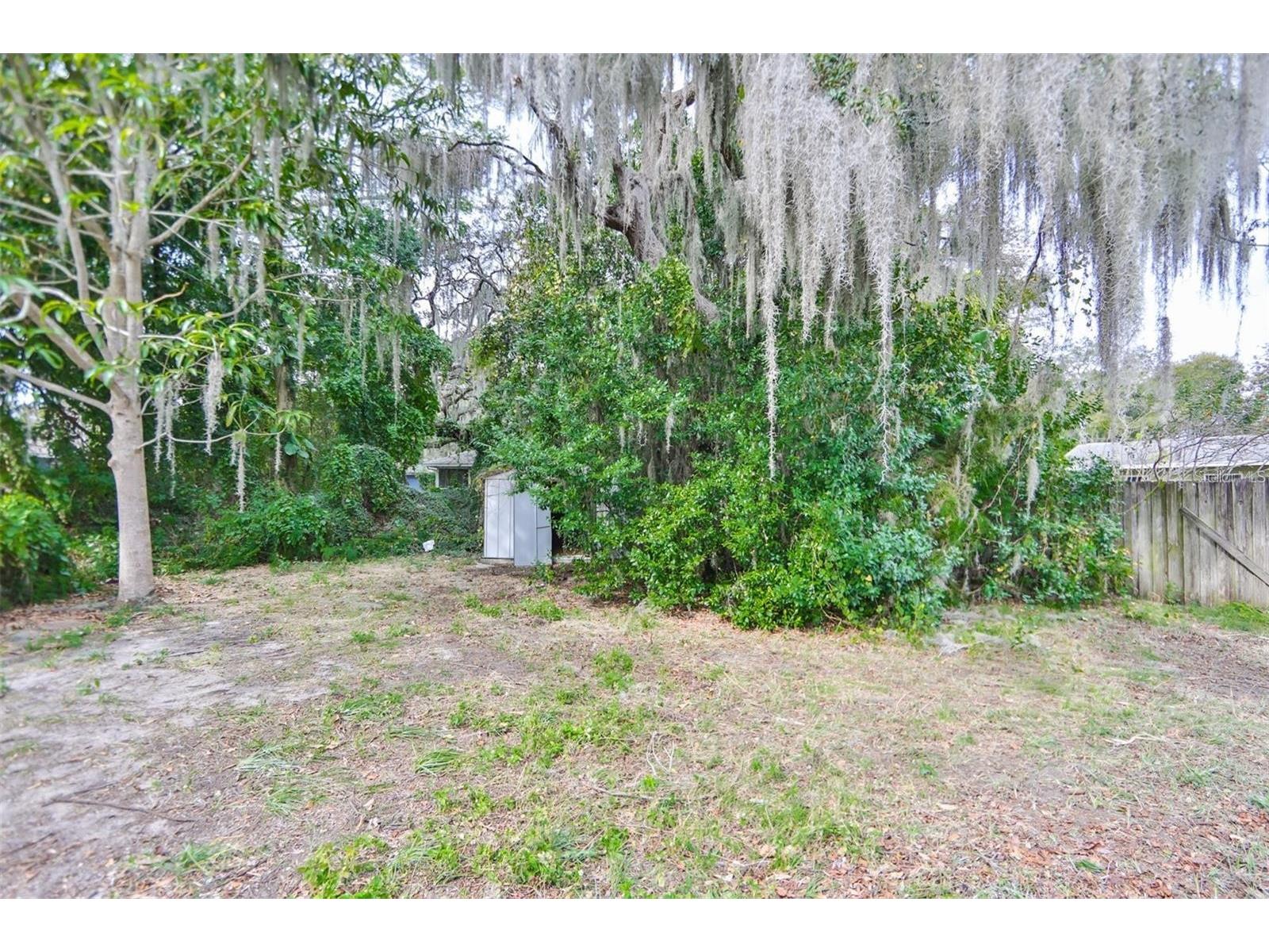 2028 N Betty Lane Clearwater FL 33755 TB8467089 image22