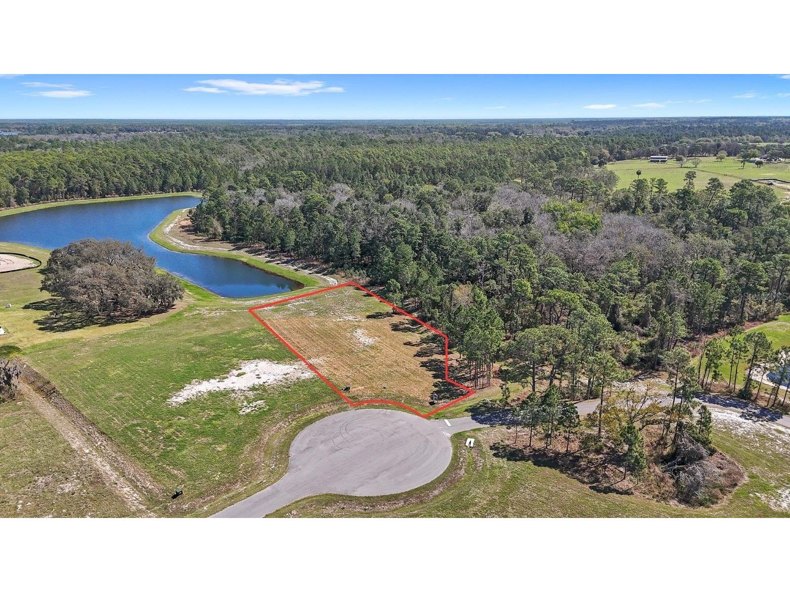20280 Shoreline Ranch Lane Umatilla FL 32784 - LAKE DALHOUSIE O6389874 image1