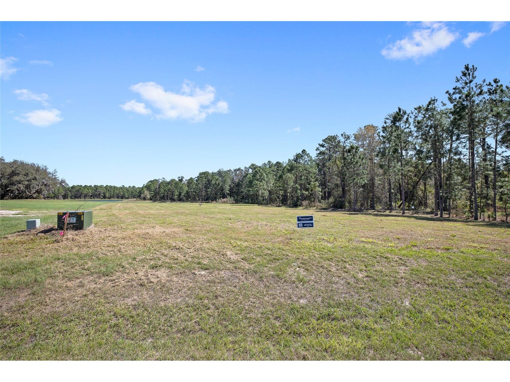20280 Shoreline Ranch Lane Umatilla FL 32784 - LAKE DALHOUSIE O6389874 image2
