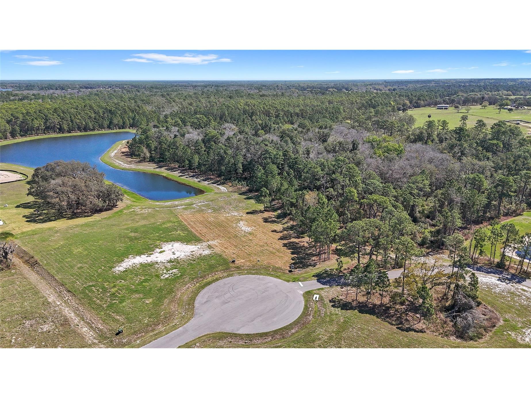 20280 Shoreline Ranch Lane Umatilla FL 32784 - LAKE DALHOUSIE O6389874 image6
